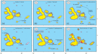 Figure 2. Repeating patterns in the distribution of the various land-locked reptile species. Any species occurring on one of the western and central “core” islands invariably occurs on all of them – compare the grey halos. The exceptions are the archipelago’s giant tortoises.