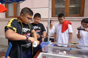 Hand Generator Robot Freestyle (front crawl) Swimming Competition