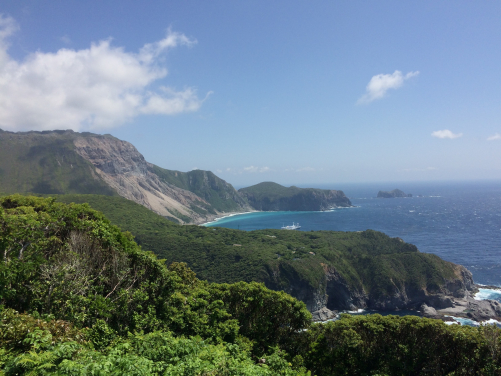 The picturesque Kozu Island.
With an approximate 3-10 hour boat ride away from Tokyo, depending on the island, the Izu Islands are easily accessible from the Japanese capital, although inter-island travel is not as flexible. For their field work, the researchers stayed at local family-run guest houses, and travelled to their study sites in the early morning where they searched for lizards until the late afternoon. (Image credit: Félix Landry Yuan)