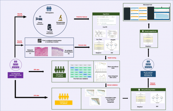 Schematic diagram of analyses performed leading to the selection of ‘DeepSurv’ for cancer risk prediction in OL/OLM.
 
