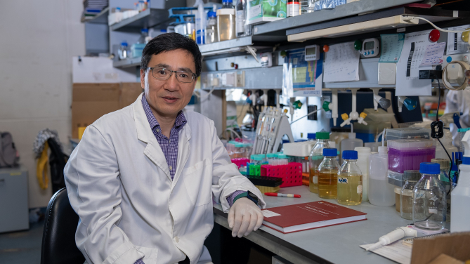 Professor Hongzhe SUN is a leading expert in the ﬁeld of biological inorganic chemistry and metallomics.
 