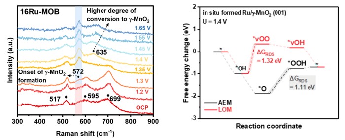 HKU Engineering Team Unveils Self-protecting Catalyst  Advancing Durable and Affordable Green Hydrogen