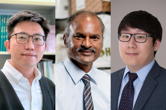 港大12個研究項目獲香港研資局7,200萬元撥款資助 