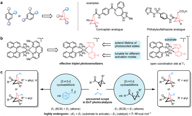 Catalytic photosensitisation strategies for the synthesis of BCH bioisosteres via intermolecular cycloadditions. Image adapted from Tang et al., Nature Chemistry (2026).